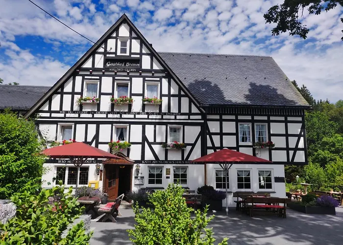 Ping Pong hotel: Gasthof Braun