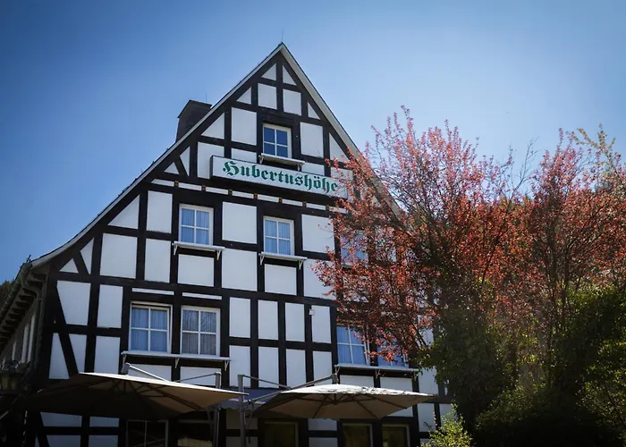 & Gasthof Hubertushoehe - Ihr Fuer Urlaub Mit Hund